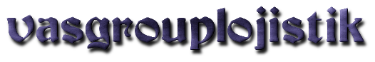 vasgrouplojistik.com